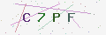 验证码